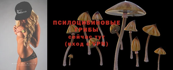соль курить ск Надым