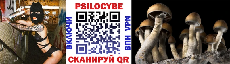 Галлюциногенные грибы Cubensis  Куса 